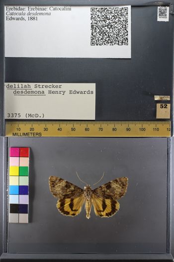 Media type: image;   Entomology 749320